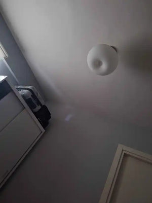 37455607-1764400755346.webp